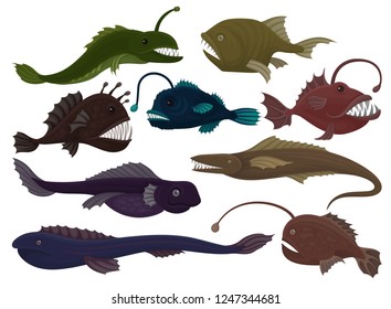 Flat vector set of different predatory fishes. Sea creatures. Marine animals. Underwater life theme