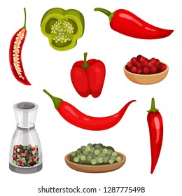 Flat vector set of fresh peppers and condiments. Organic vegetable. Fragrant spice. Cooking ingredients