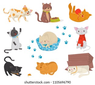 Flat vector set with funny cats. Cartoon characters of cute domestic animals. Elements for postcard, promo poster or banner of pet store
