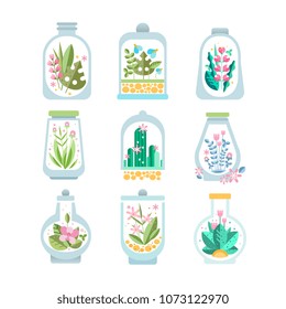 Flat vector set of glass vessel with blooming plant inside. Floral compositions in transparent bottles. Flowers and cactuses. Botanical theme