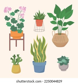 Conjunto vectorial plano de plantas domésticas en macetas. Cactus, cactus, succulento, sansevieria, geranio. Decoración de moda en casa. Conjunto de macetas de jardín. 