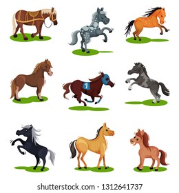 Flat vector set of horses in various poses. Hoofed animals isolated. Mammal creatures on green grass