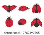 Flat vector set of ladybugs in different poses, including top and side views. Cute red beetles isolated on white background, perfect for design, patterns, educational and nature themed projects.