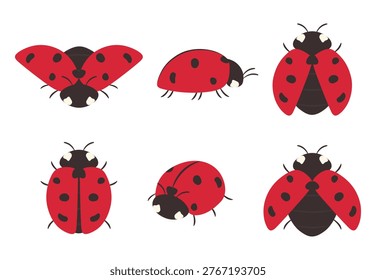 Flat vector set of ladybugs in different poses, including top and side views. Cute red beetles isolated on white background, perfect for design, patterns, educational and nature themed projects.