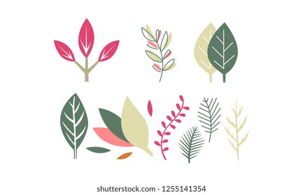 Flat vector set of leaves of different plants. Natural decorative elements. Flora theme