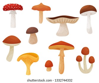 Flat vector set of mushrooms. Edible and poisonous fungi. Natural products. Elements for children book or poster