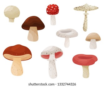 Flat vector set of mushrooms. Forest plant. Edible and poisonous fungi. Natural product. Elements for book or poster