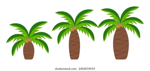 Flat vector set of palm trees. Plants of the tropical forest. Landscape elements for a mobile game.