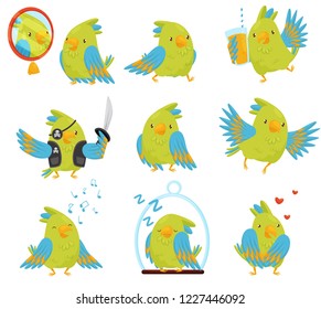 Flat vector set of parrot in different situations. Cute bird with bright green and blue feathers. Funny cartoon character