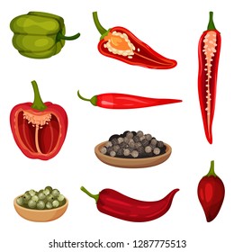 Flat vector set of pepper icons. Fresh vegetable and culinary condiments. Aromatic spice. Natural food