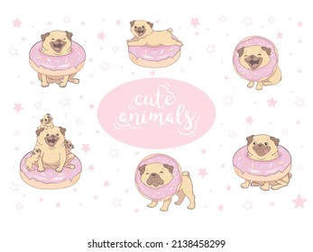 Flat vector set of pug puppy in different poses. Cute dog with short beige coat, wrinkled muzzle and curled tail. Home pet