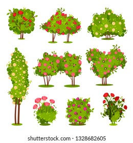 Flat vector set of roses bushes. Flowering garden plants. Green shrubs with beautiful flowers. Landscape elements