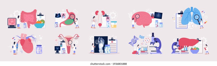 Conjunto de vectores planos de secciones de la medicina. Genética, Cardiología, Pulmonología, Reumatología, Gastroenterología, Neurología, Ginecología, urología, Proctología, Concepto de Hepatología