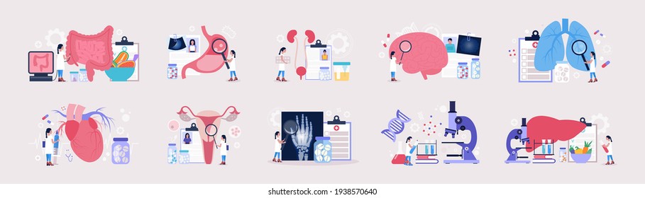 Flat vector set of sections of medicine. Genetics, Cardiology, Pulmonology, Rheumatology, Gastroenterology, Neurology, Gynecology, urology, Proctology, Hepatology concept