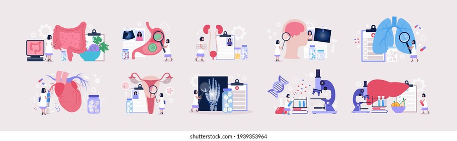 Flat vector set of sections of medicine. Genetics, Cardiology, Pulmonology, Rheumatology, Gastroenterology, Neurology, Gynecology, urology, Proctology, Hepatology concept