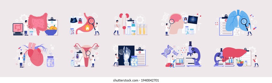 Flat vector set of sections of medicine. Genetics, Cardiology, Pulmonology, Rheumatology, Gastroenterology, Neurology, Gynecology, urology, Proctology, Hepatology concept