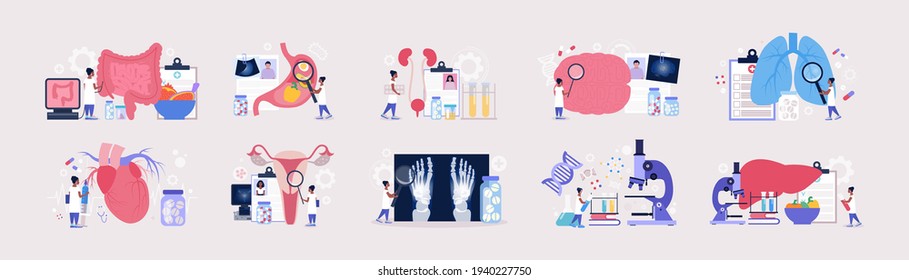 Flat vector set of sections of medicine. Genetics, Cardiology, Pulmonology, Rheumatology, Gastroenterology, Neurology, Gynecology, urology, Proctology, Hepatology concept
