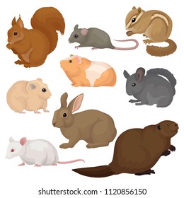 Flat vector set of various rodents. Small forest and domestic animals. Mammal creatures. Fauna and wildlife theme