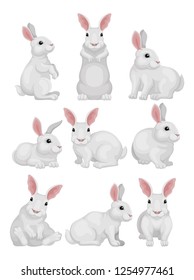 Flat vector set of white rabbit in different poses. Adorable mammal animal. Hare with long ears and short tail