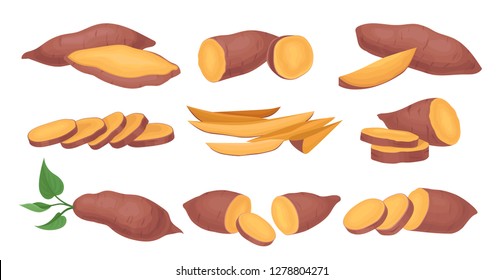 Flat vector set of whole and sliced sweet potatoes. Ripe and tasty vegetable. Natural and healthy food. Raw batat