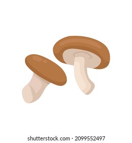 Flat Vector Of Shiitake Mushroom Isolated On White Background. Flat Illustration Graphic Icon