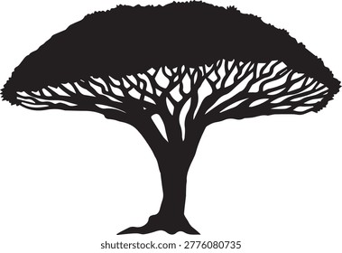 Flat vector silhouette of the distinctive umbrella-shaped Dragon's Blood tree from Socotra Island Yemen. Isolated exotic botanical icon on white background.