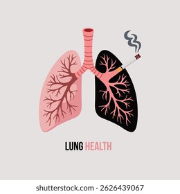 Flat vector of split human lungs showing healthy vs damaged condition from smoking, with cigarette and smoke on bad side. Ideal for medical education and no smoking campaigns.