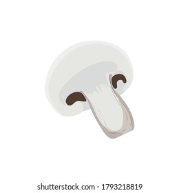 Flache Vektorsymbol-Illustration von Champignon einzeln auf weißem Hintergrund. Design für Poster, Webseiten, Karten, Menüeindeckung, Magazin, Buch etc.
