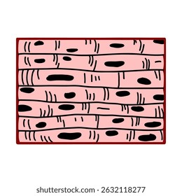 Flat vector of striated skeletal muscle tissue. Educational anatomy illustration for biology learning, health posters, and medical visuals. Simple, bold, and easy to recognize.