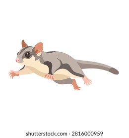 A flat vector style illustration of a small grey sugar glider marsupial leaping or gliding through the air isolated on a white background
