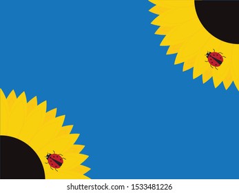 Flat Vector Sunflowers and Ladybug on Blue Background