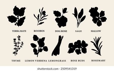 Flat vector tea herbs collection