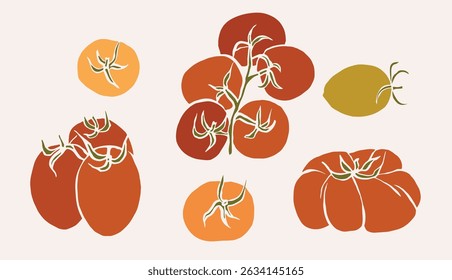 Flat vector tomatoes on vine collection