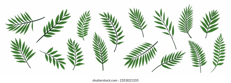 Palm Tropical Vector Plano Deja Icono Aislado. Foliage exótico tropical, espiral con hojas, colección de trenzas de árbol. Elemento decorativo de diseño de hojas tropicales que hace brochas, patrones, marcos, etc.