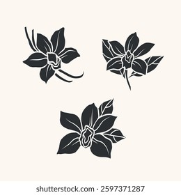 Flat vector vanilla flowers illustration