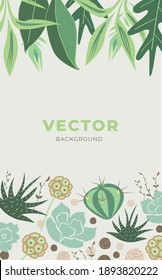 Flat vector vertical botanical background with succulents, houseplants, aloe and excotic leaves in natural eco green and brown colors.