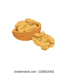 Flat vector of Walnuts isolated on white background. Flat illustration graphic icon