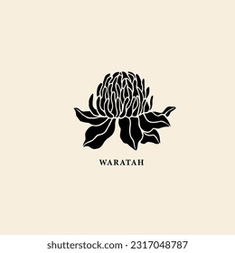 Flat vector waratah flower illustration