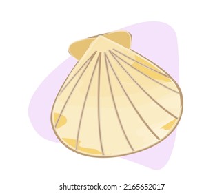 Flat vector watercolor illustration of seashell with abstract background
