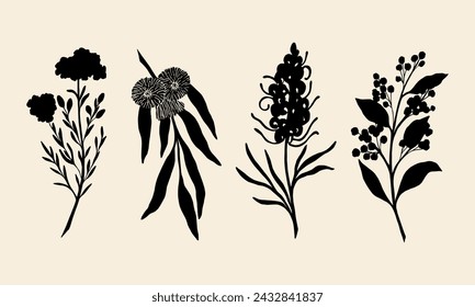 Flat vector waxflower, blue gum eucalyptus, grevillea, wattle. Australian native flowers and plants