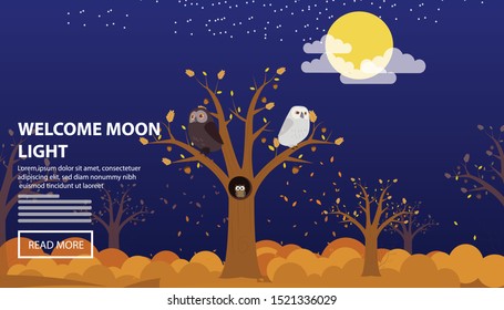 Flat vector web banners on the theme of Green Forest, Nature, Tree, Foliage, Summer, Sunlight, Tropical. Flat Vector Illustration. Flat Design Background. Web vector illustration. Vector Background.