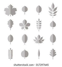 Flat vector white and black illustration: gray monochrome silhouettes of tree leaves (alder, aspen, willow, maple,  poplar, rowan, hawthorn, acacia, chestnut, conker etc.) isolated on white background