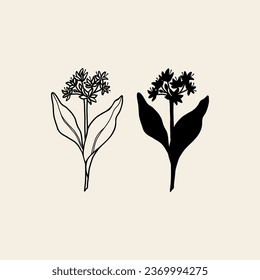 Flat vector wild garlic illustration