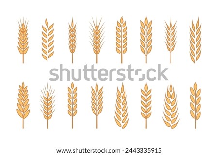 Flat Vector Yellow Agriculture Wheat, Cereal Ear Icon Set Isolated. Organic Wheat, Rice Ears. Grain Ear Design Template for Bread, Beer Logo, Packaging, Labels for Farming, Organic Food Concept