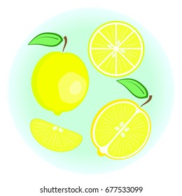 Flat vector yellow lemon set - fruit split in a half along and across, fruit circle and wedge, a slice of lemon. Cute colorful summer fruit