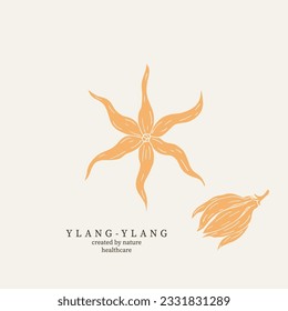 Flat vector ylang ylang flower