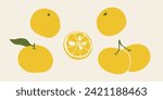 Flat vector yuzu fruits collection