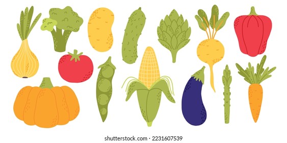 Flat vegetables vector set. Collection of vegetables broccoli, corn, pepper, onion, garlic, asparagus, pumpkin , carrot. Hand-drawn style isolated on white background.