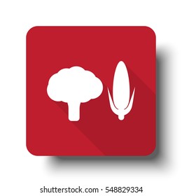 Flat Vegetables web icon on red button with drop shadow