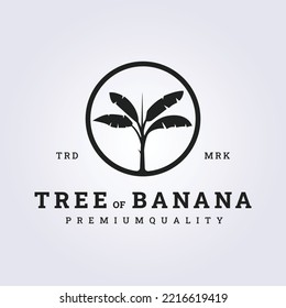 flat vintage banana tree logo vector in badge emblem illustration design